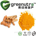 high quality turmeric curcuma longa extract/curcumin